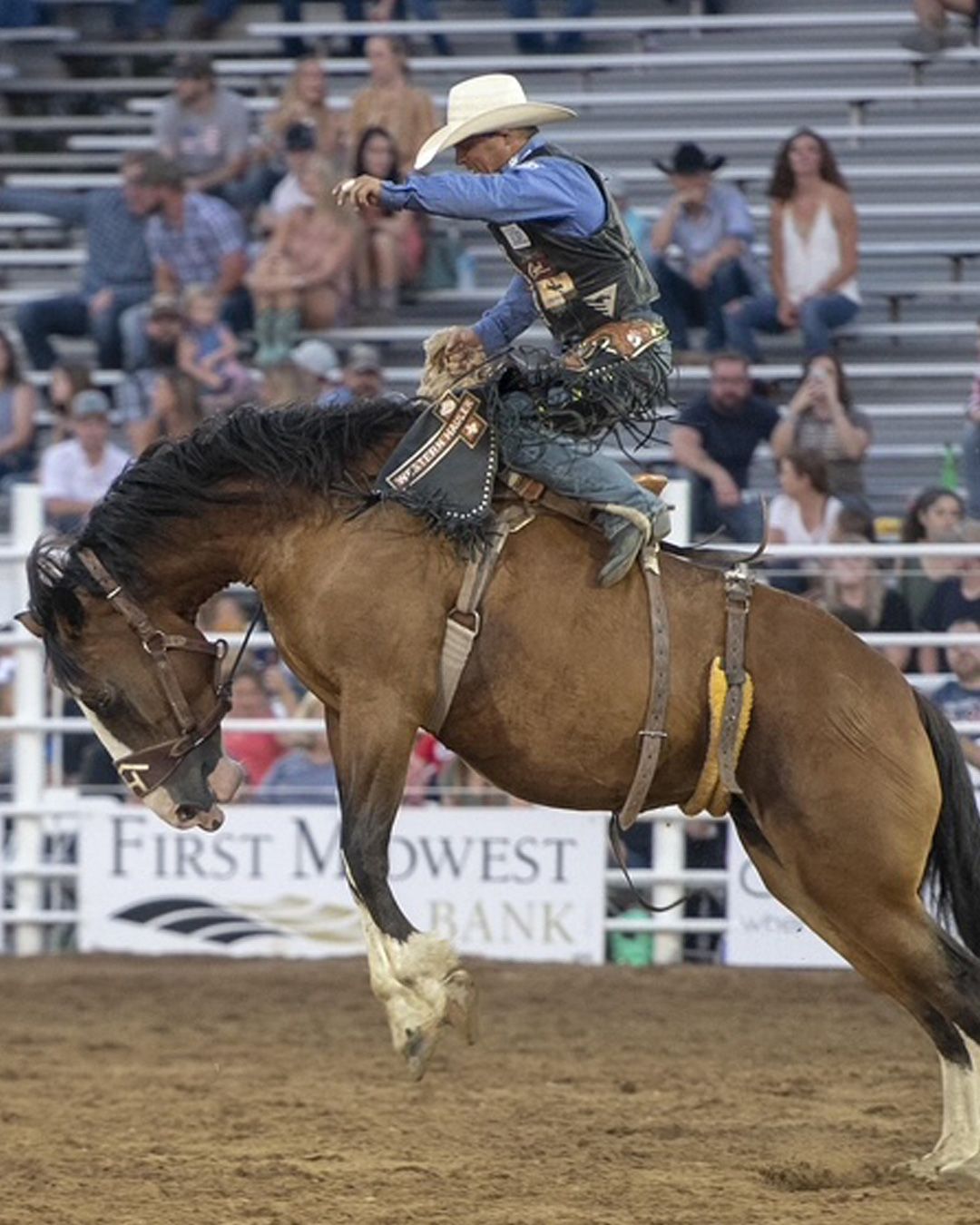 Cowboy on a bucking bronco at a rodeo arena, wearing a white hat and blue shirt.