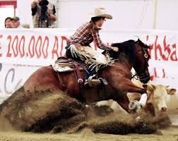 Cowboy on a bucking horse roping a calf in a dusty rodeo arena