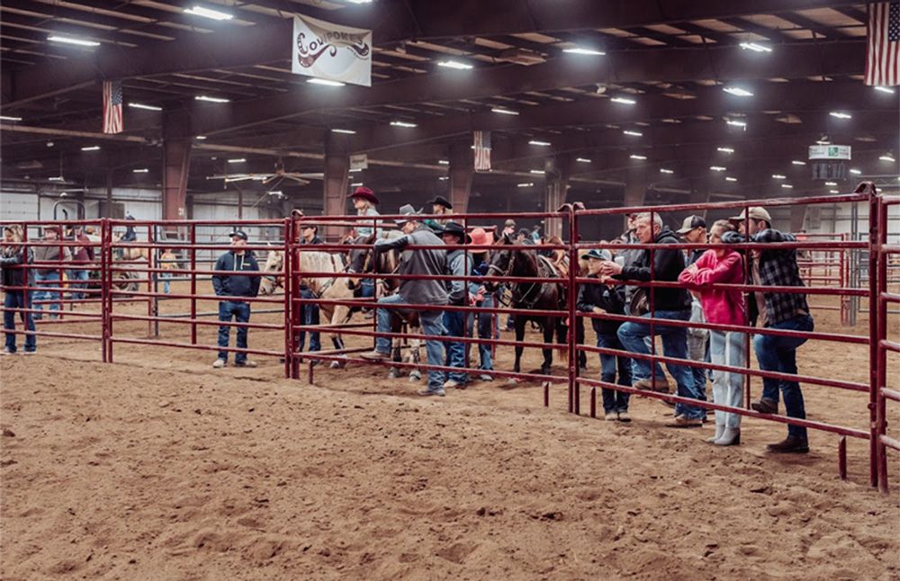 People observing horses in a fenced arena, likely an indoor rodeo or equestrian event.