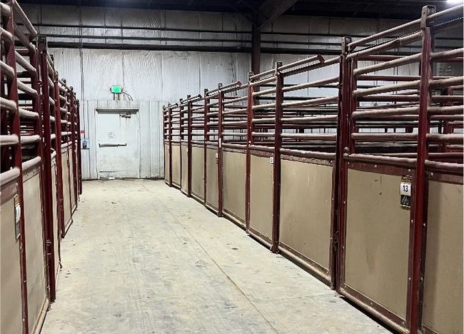 Rows of empty metal stalls in a dim building, with a door at the end of the aisle.