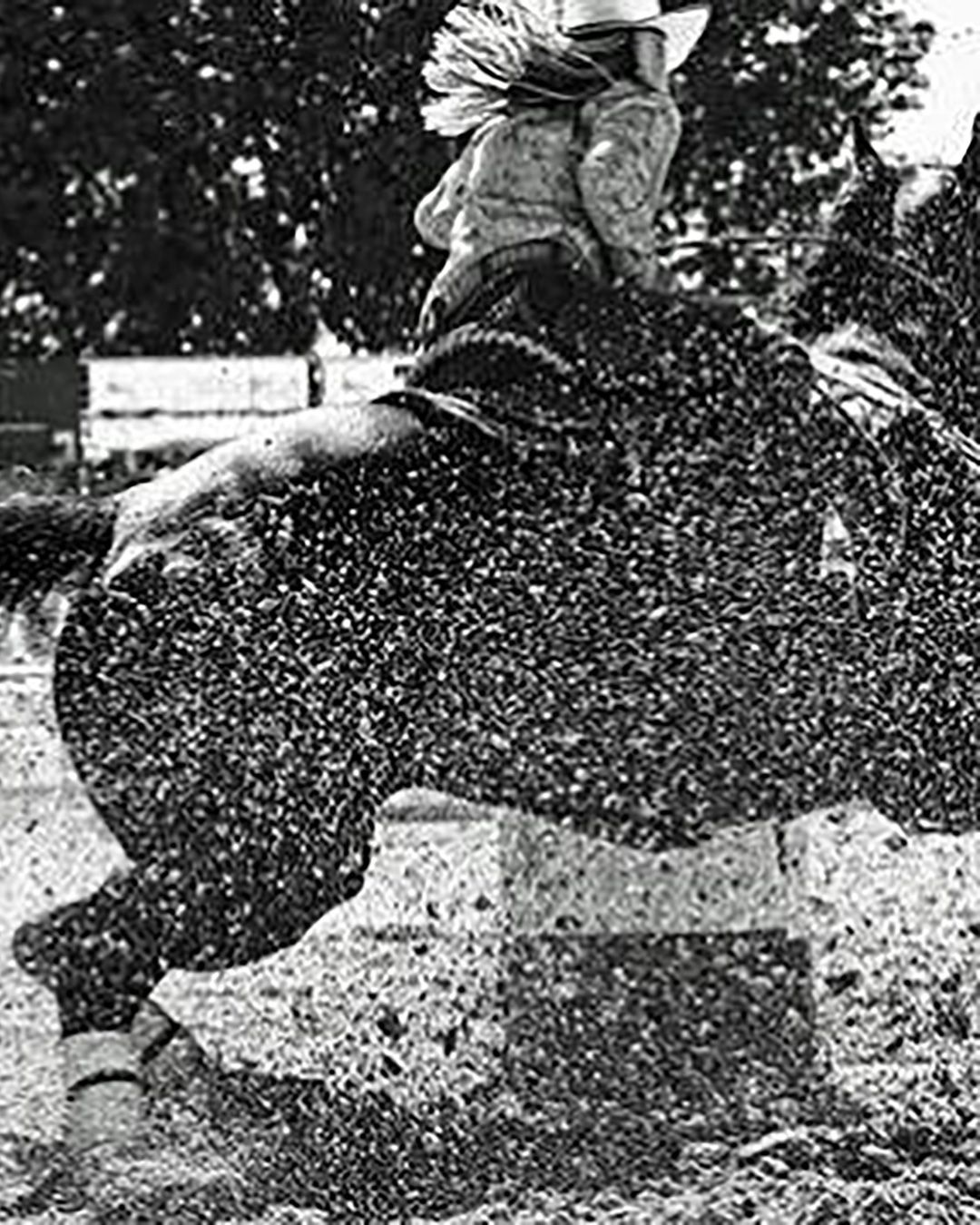 Black-and-white action shot of a cowboy riding a bucking horse in an arena, kicked-up dirt visible
