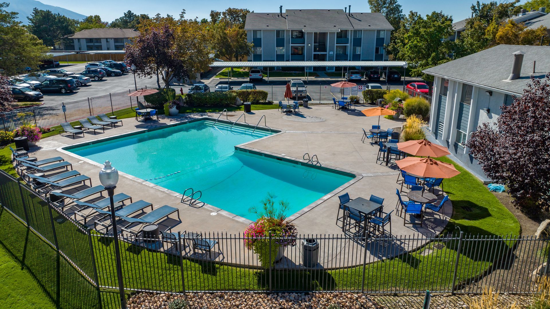 an aerial view of a large swimming pool surrounded by chairs and umbrellas .