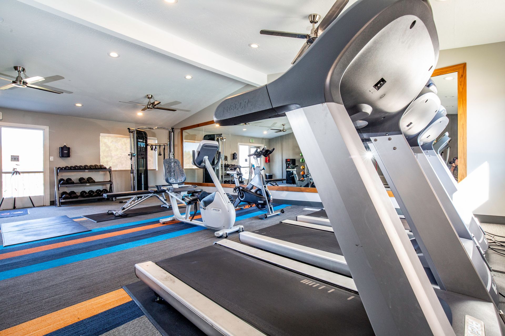 a treadmill is sitting in the middle of a gym .