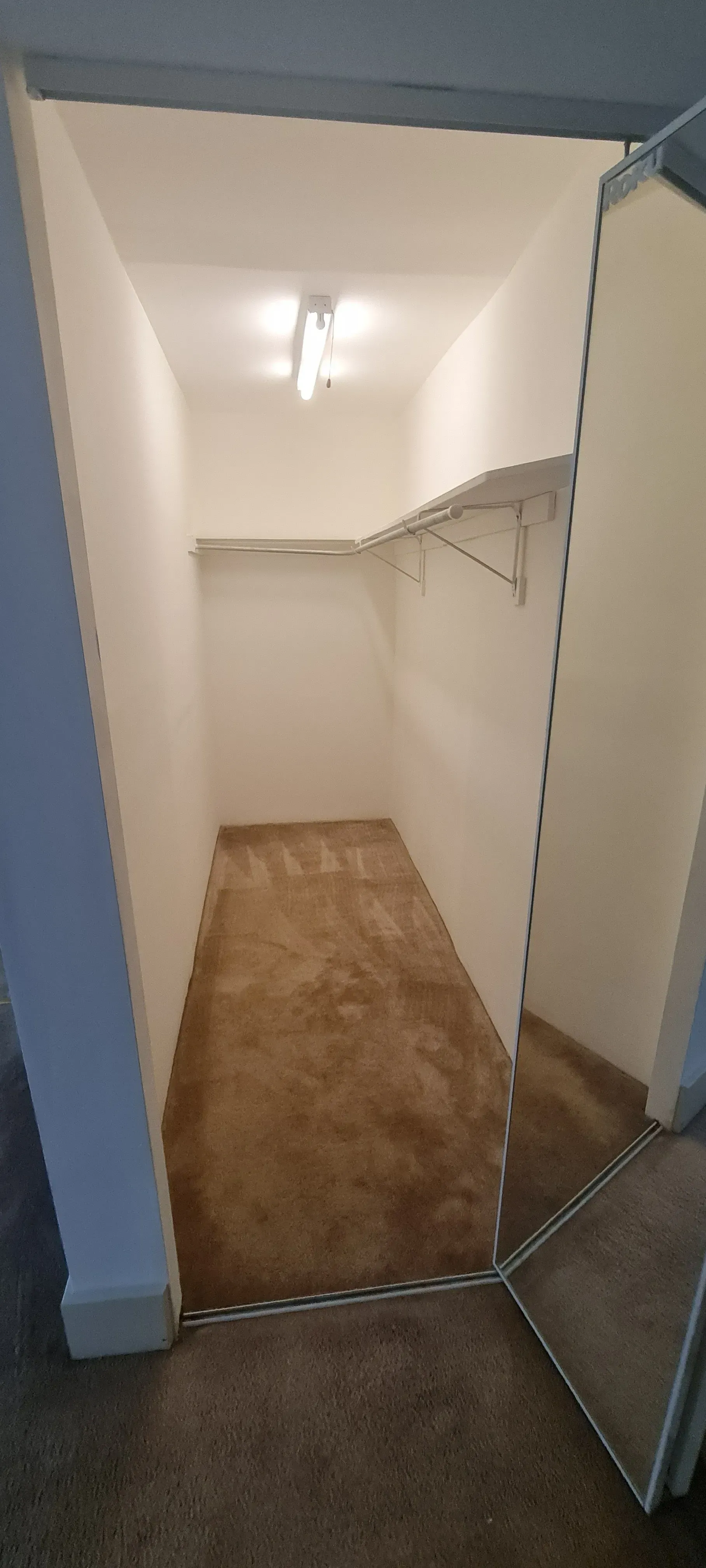 An empty walk in closet with shelves and a mirror.