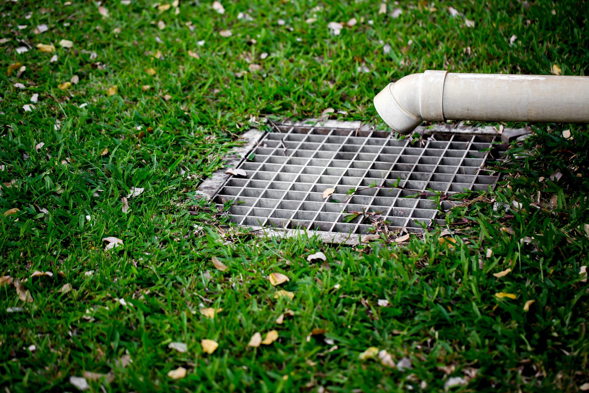 A white downspout pipe drips water onto a metal drainage grate embedded in a green grassy lawn.