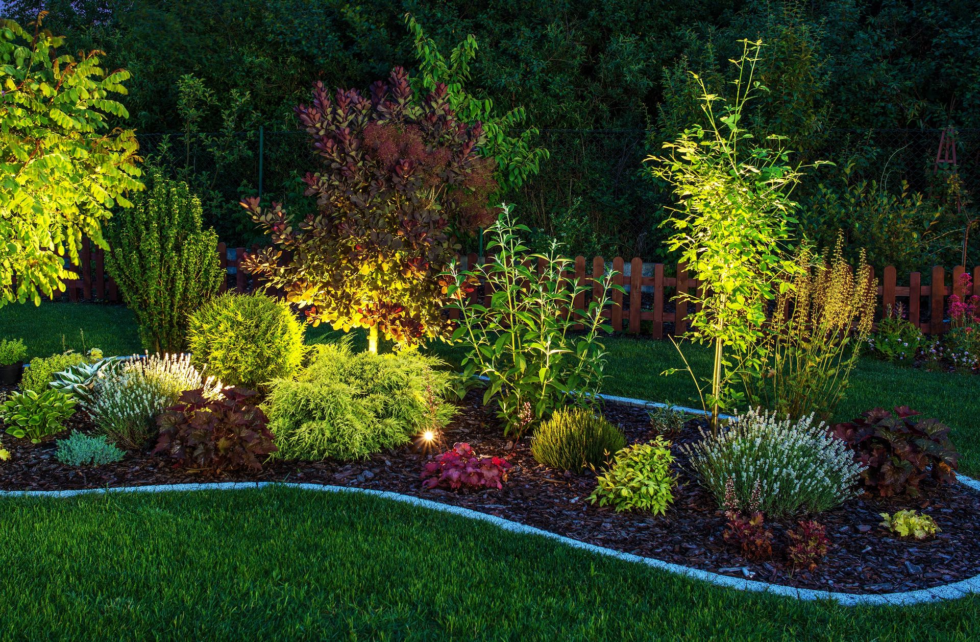 A well-manicured garden bed with lush green shrubs and trees, illuminated by warm landscape lighting at twilight.