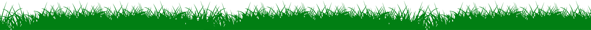 A horizontal band of vibrant green, grass-like texture against a white background.