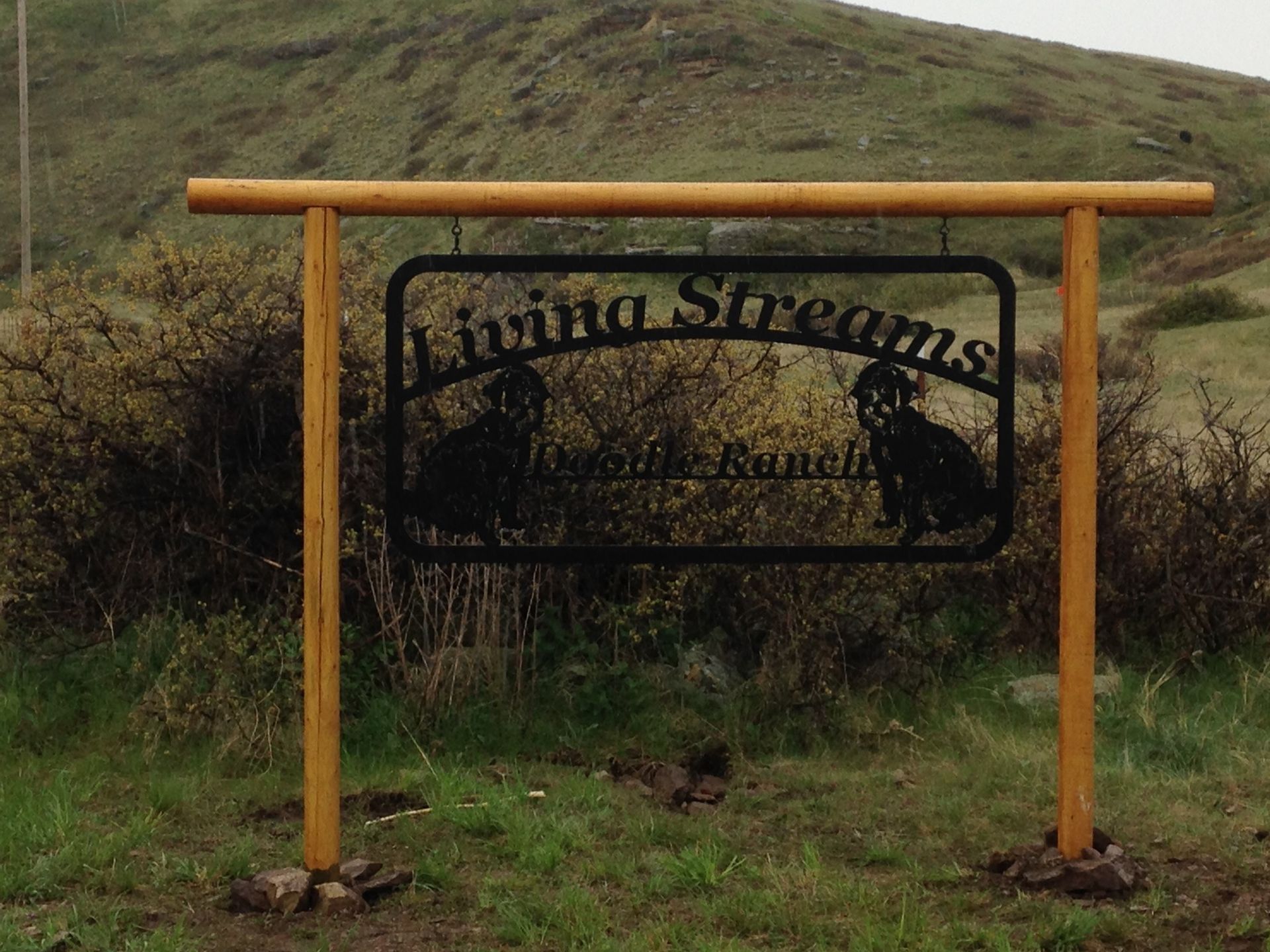 Rustic wooden sign in a grassy outdoor area with a black metal plaque reading “Winn Spring”