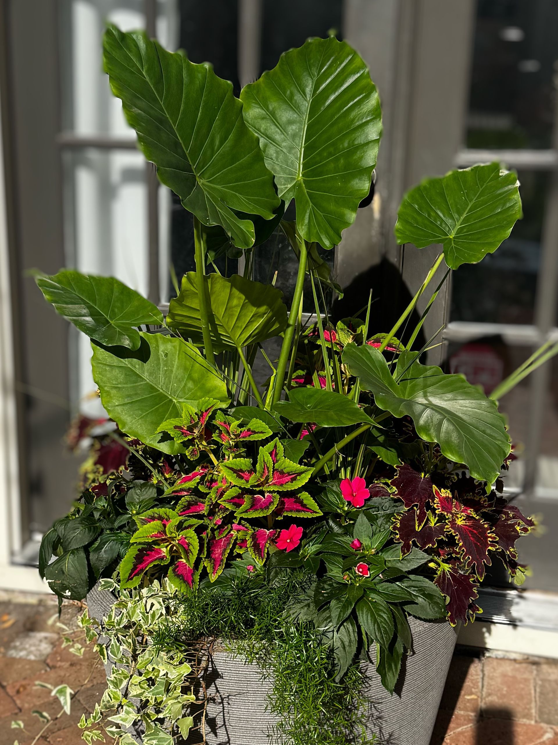 tropical garden planter