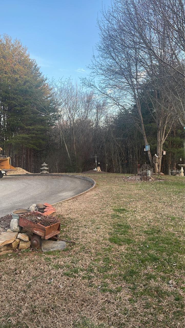 A driveway curving into a wooded area, with a grassy lawn and small cart in the foreground.