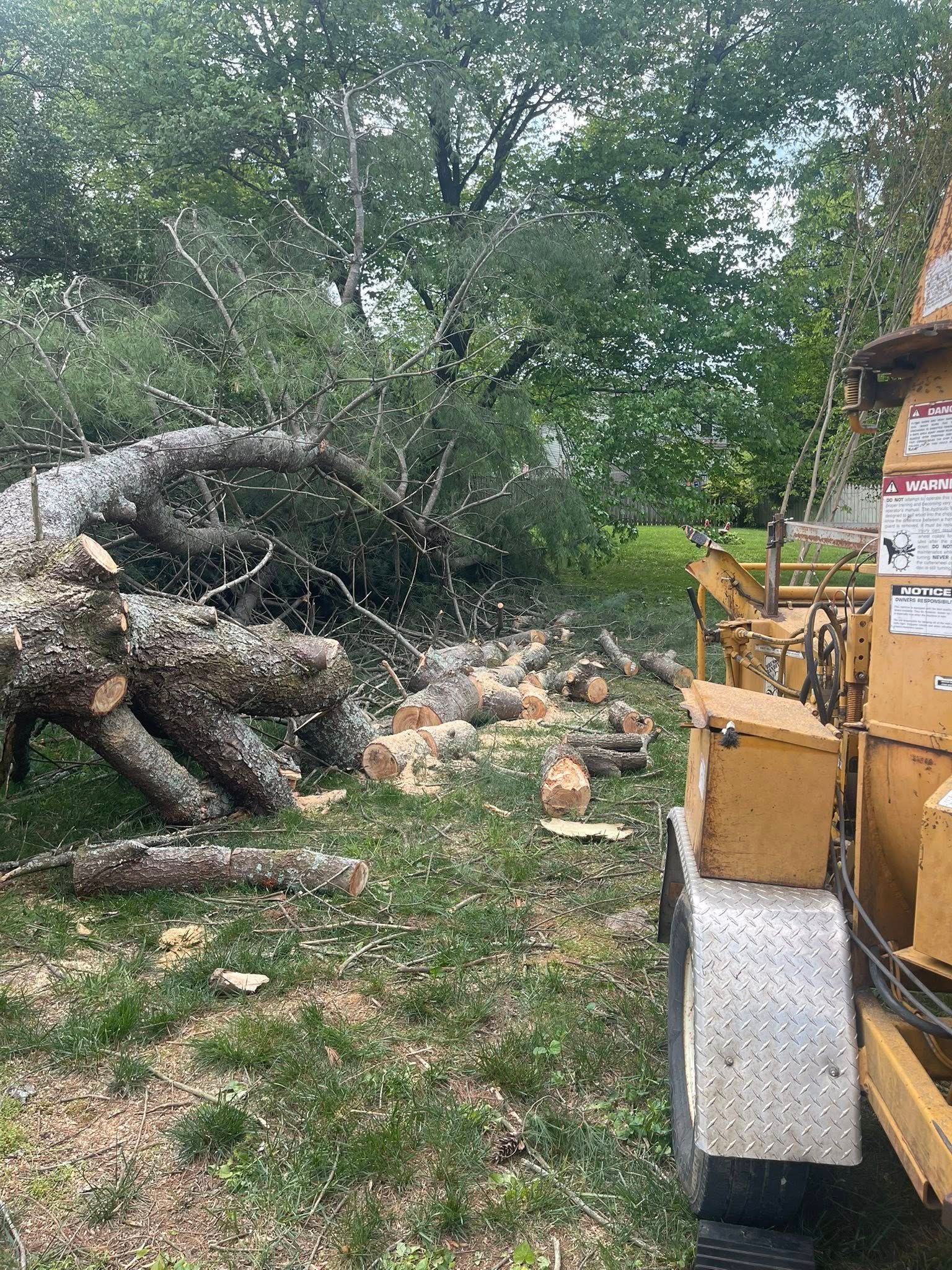 Tree removal, logs on the ground, wood chipper in grass with tree debris, nature.