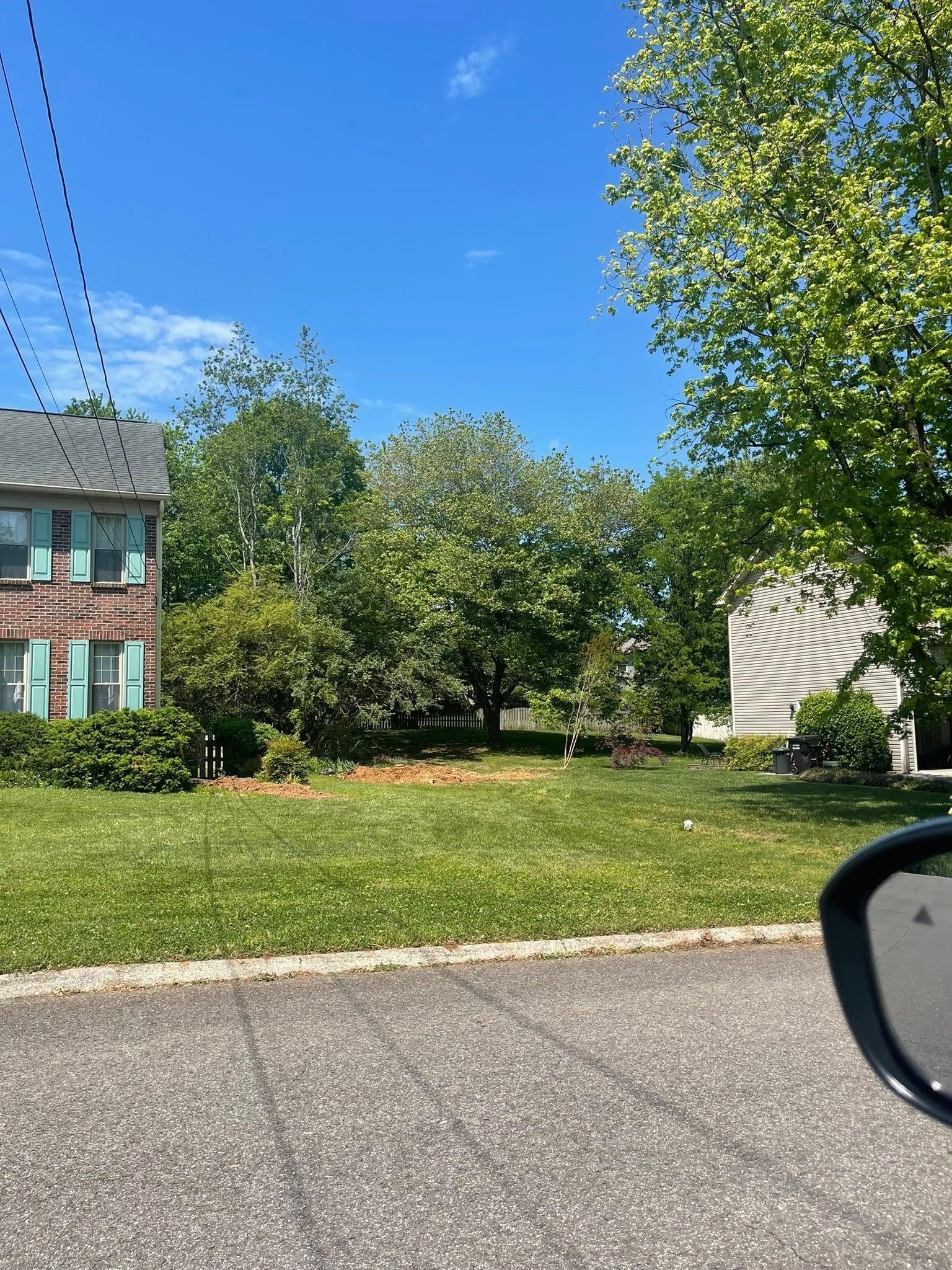 Lawn and trees with a house on either side under a blue sky, power lines overhead.