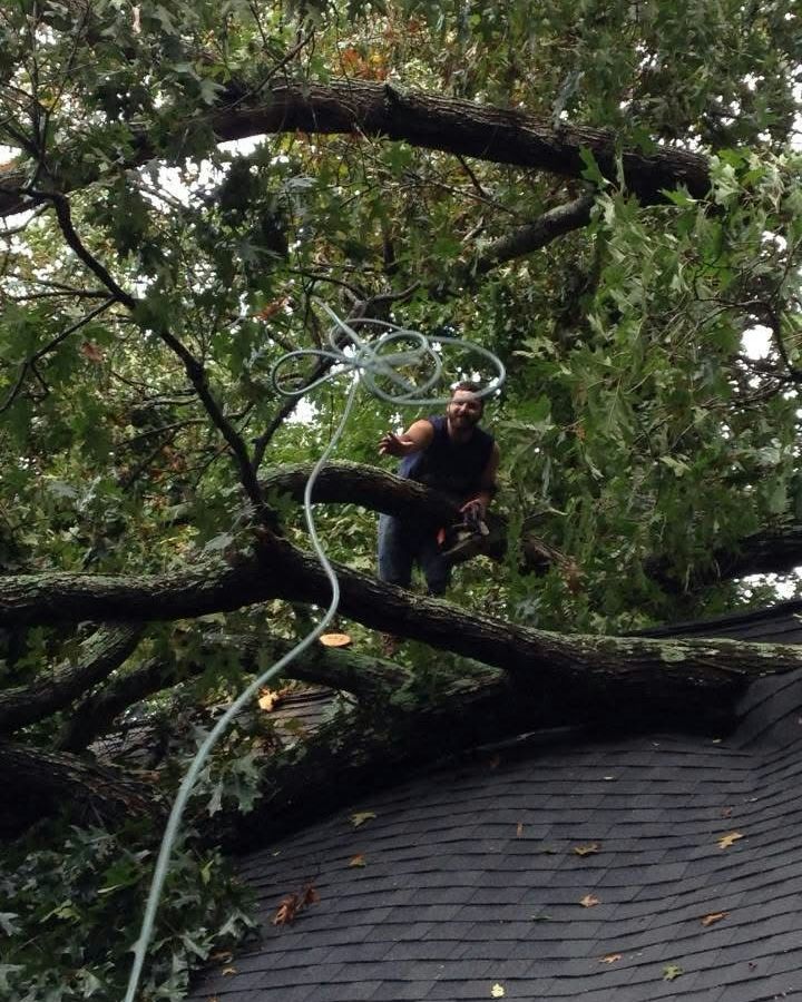 Man on roof, cutting tree branches. Branches resting on shingles. Cloudy sky.