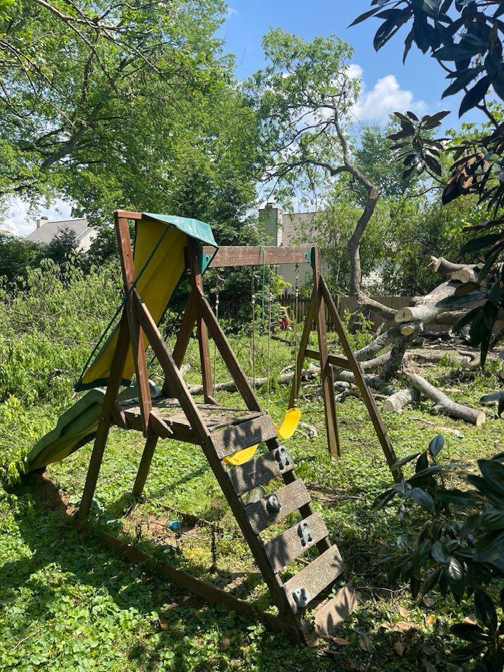 Playground set in overgrown backyard under a partly cloudy sky.