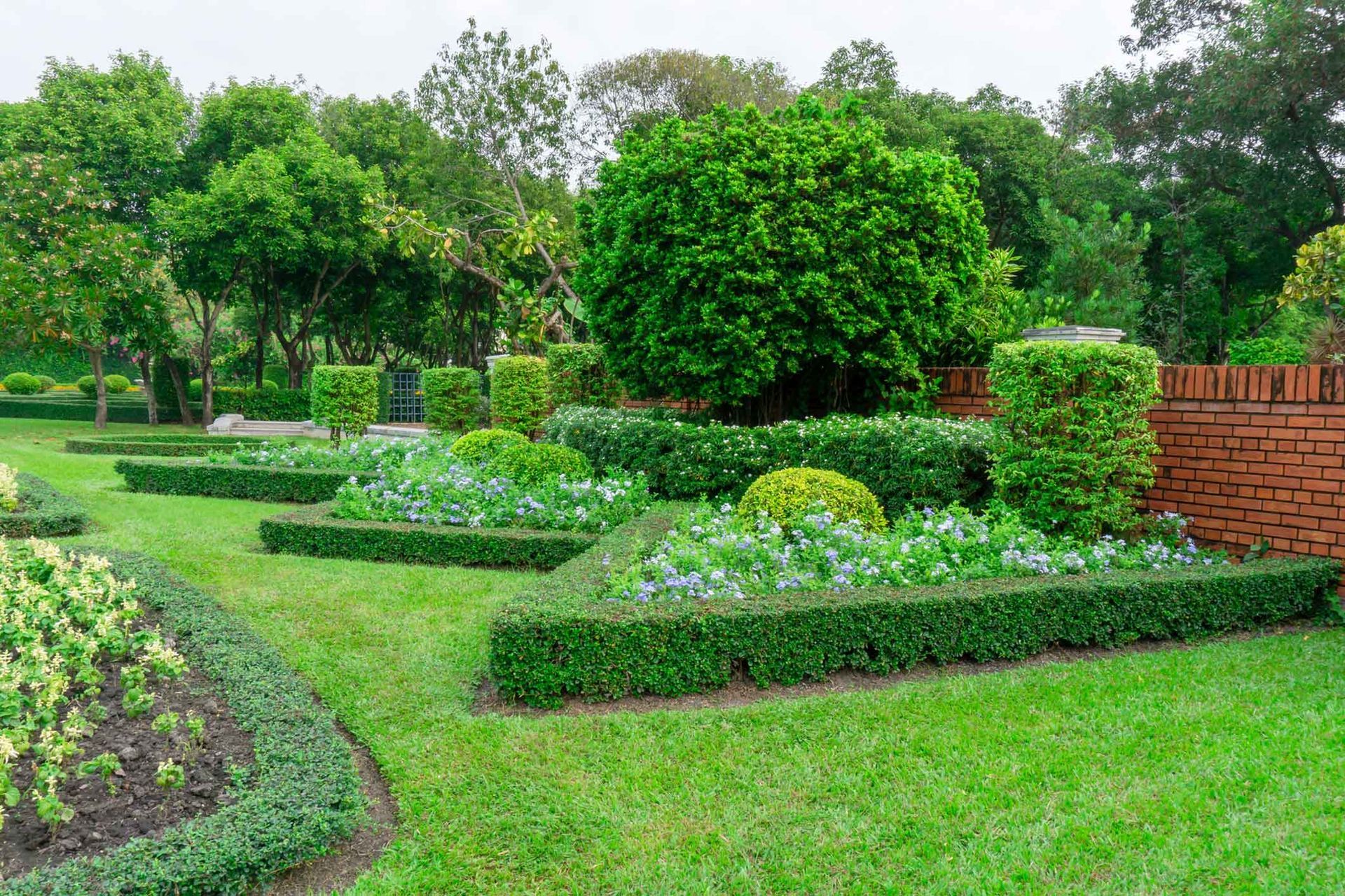 Green manicured garden with hedges, flowerbeds, and brick wall.