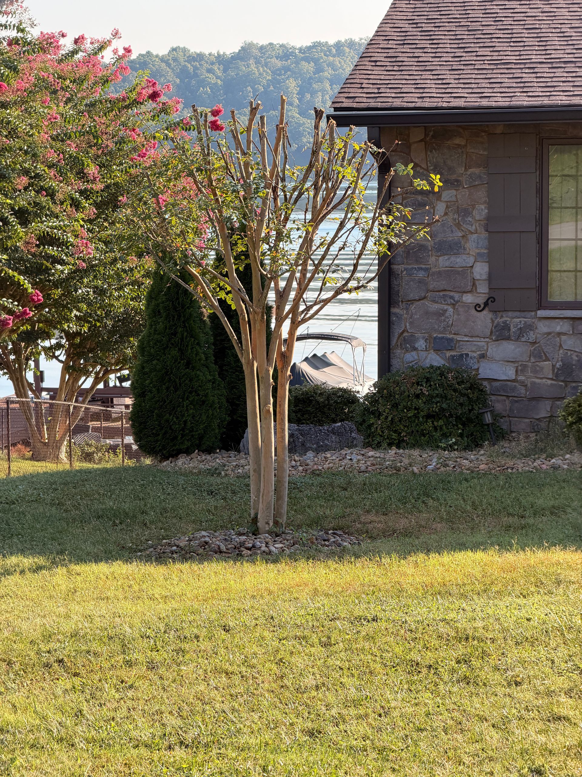 Stone house with trees and shrubs in a sunny yard by a lake