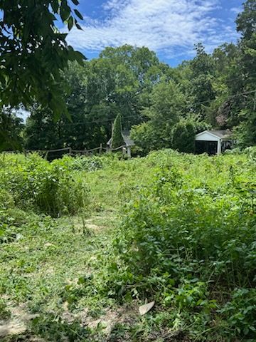 Overgrown green field with a satellite dish and small shed under a bright blue sky