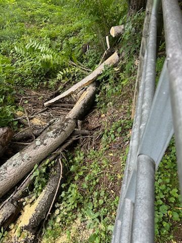 Fallen logs and wooden planks on a muddy hillside beside a metal guardrail, surrounded by green vegetation
