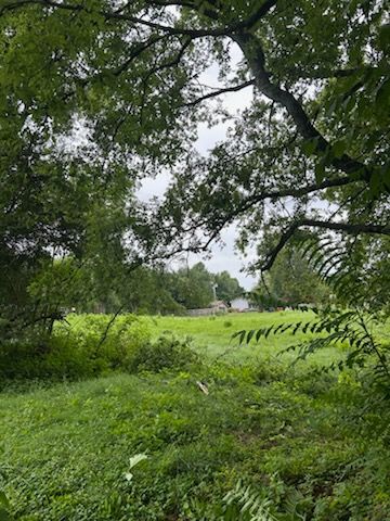 Green meadow under large tree branches on an overcast day, with a distant house visible.