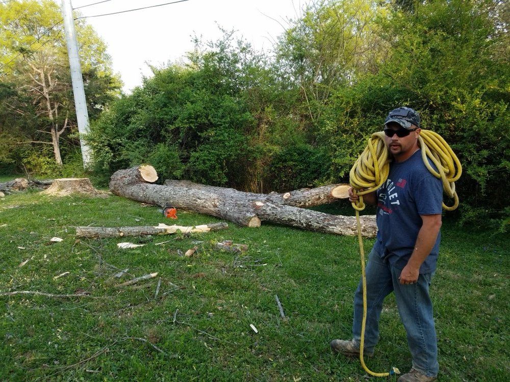 Man holding yellow hose, felled tree in background, outdoors.