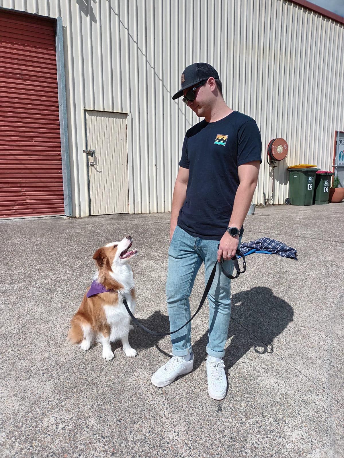 Man in Blue Jeans and Dog on Leash Outdoors — DogEd Daycare & Training in Erina, NSW