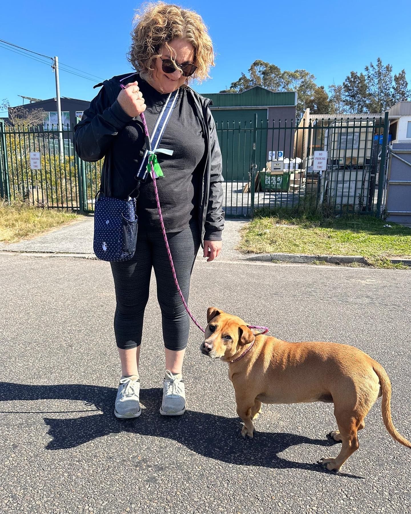 Woman With Curly Hair Walking a Tan Dog on a Leash on a Paved Path — DogEd Daycare & Training in Gosford, NSW
