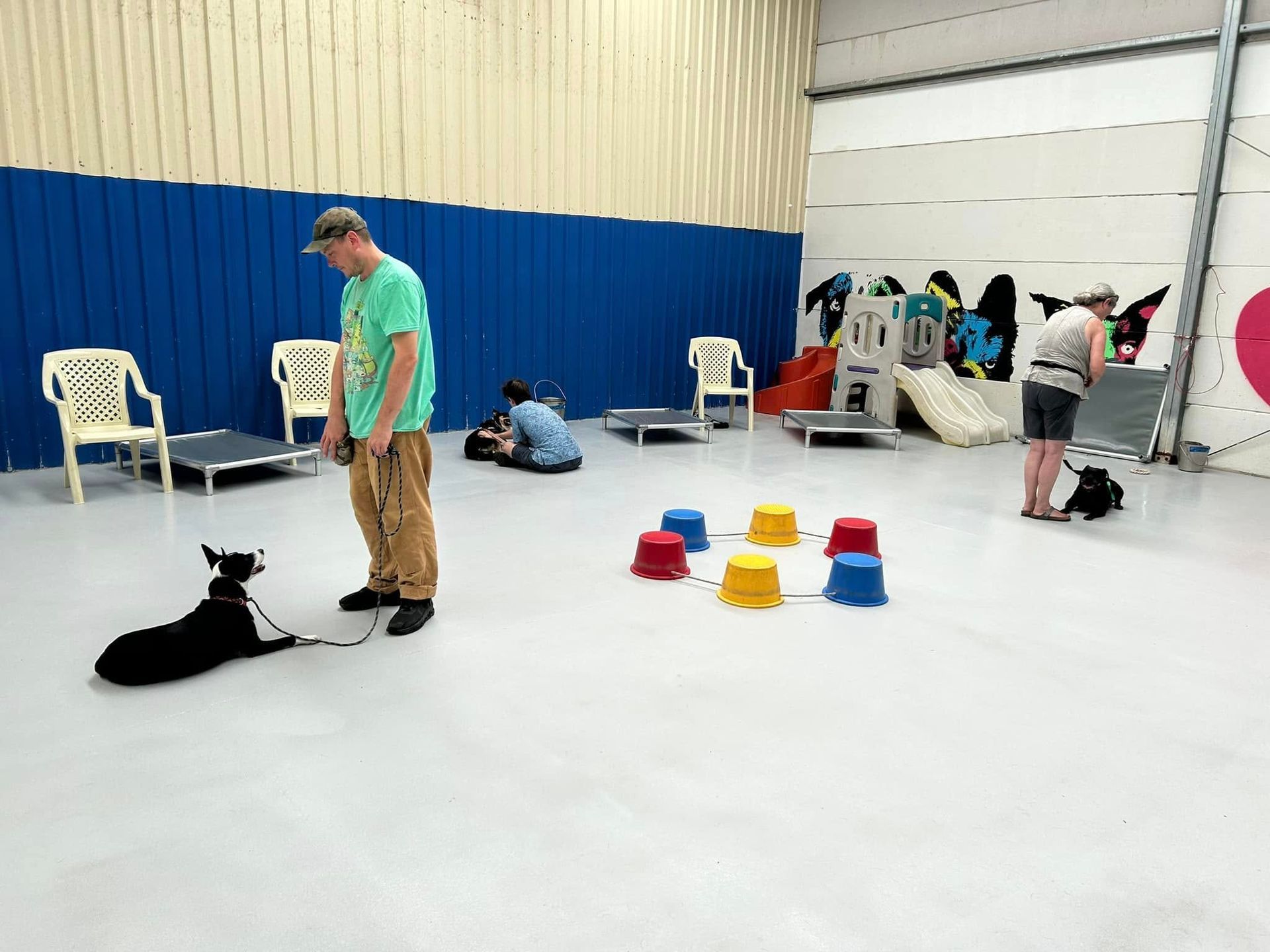 People Training Dogs in an Indoor Facility — DogEd Daycare & Training in Gosford, NSW