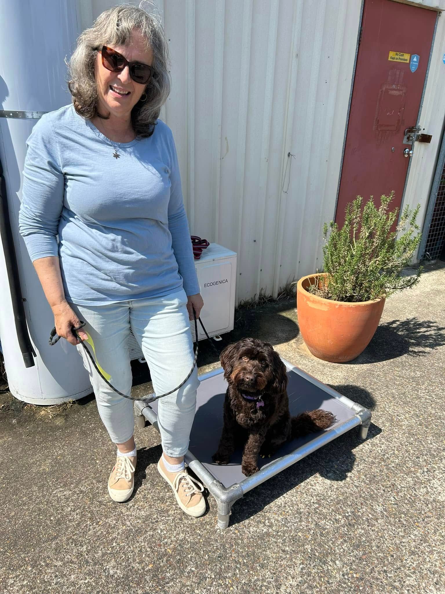 Woman With Dog on a Training Platform Outdoors — DogEd Daycare & Training in Terrigal, NSW