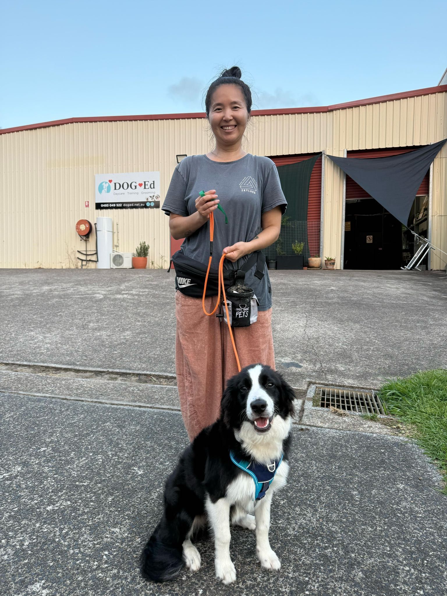 Woman and Black-and-white Dog — DogEd Daycare & Training in Gosford, NSW