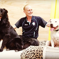 Sean Parkinson — General Manager