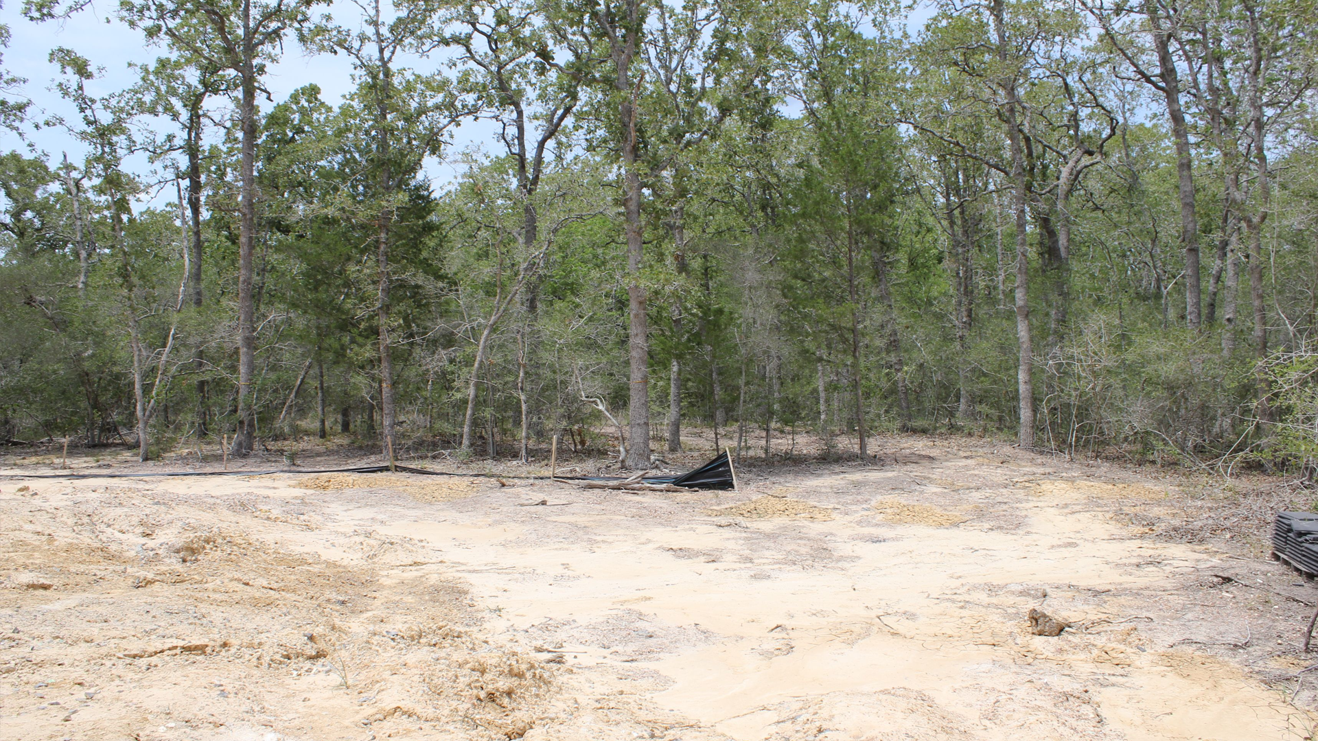 There is a lot of trees in the background and a lot of dirt in the foreground.