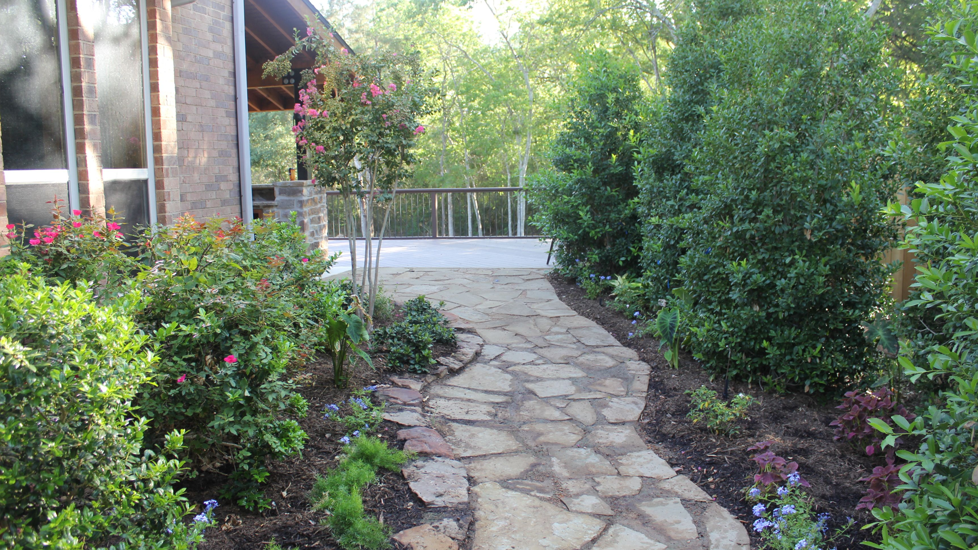 A stone walkway leading to a house surrounded by trees and bushes.