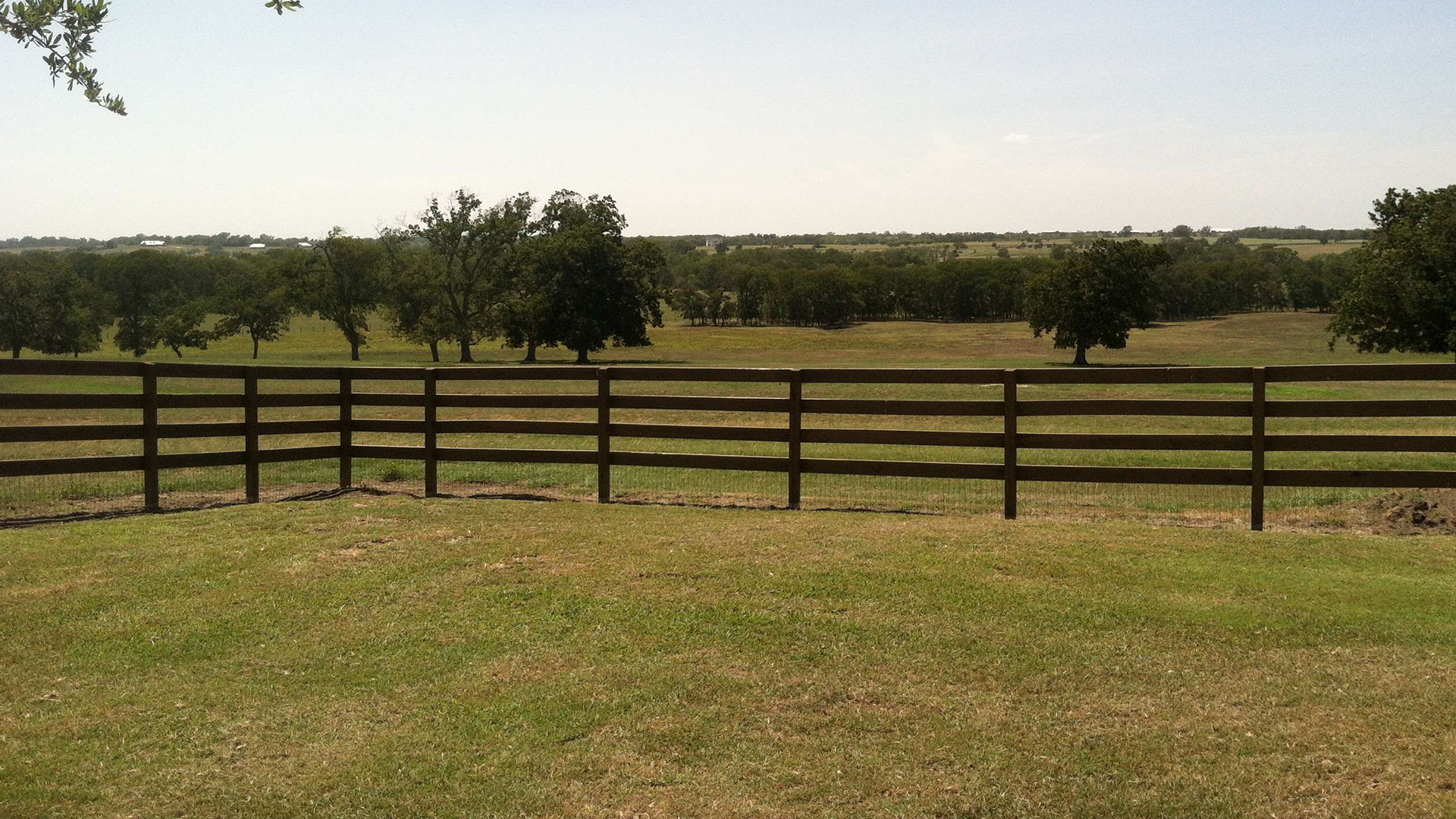 A wooden fence surrounds a grassy field with trees in the background.