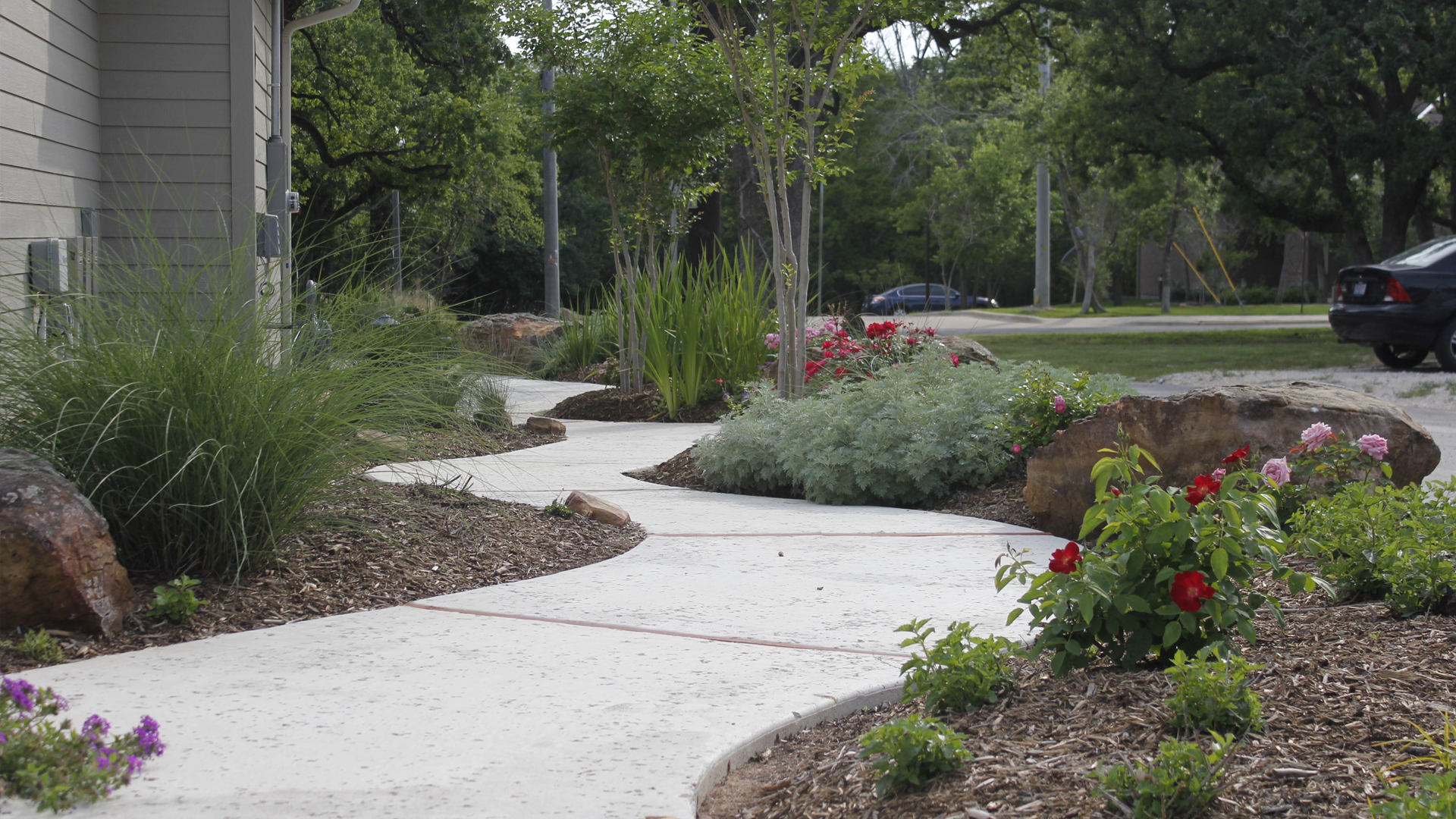 A concrete walkway with flowers on the side of it