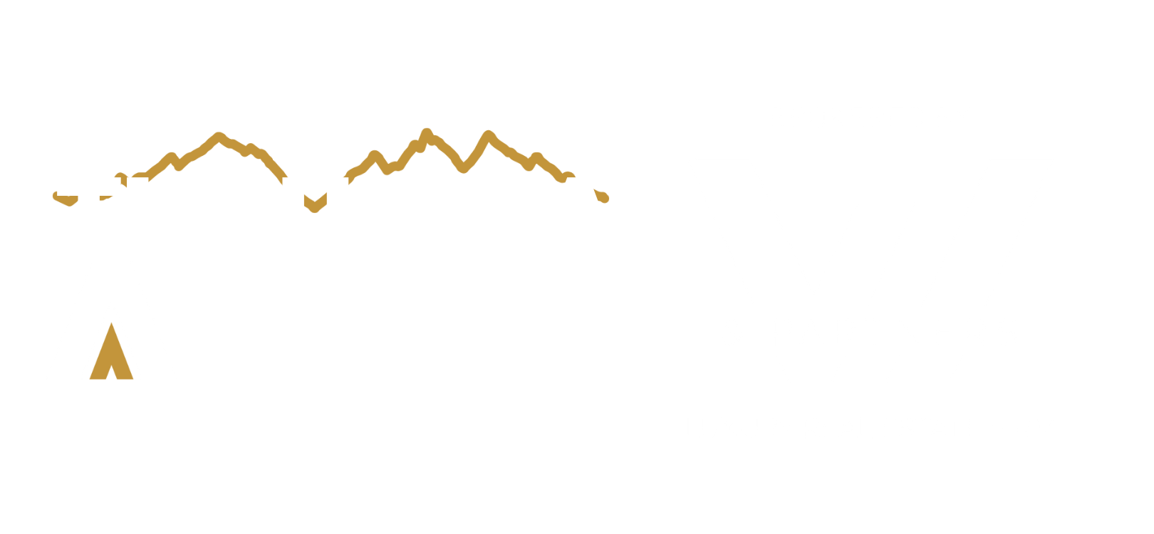 Ultra Agent & W&Partners logo white