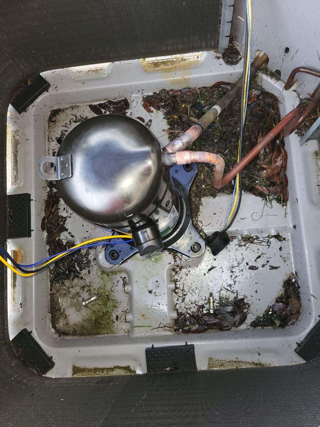 The inside of a refrigerator with a compressor and wires coming out of it.