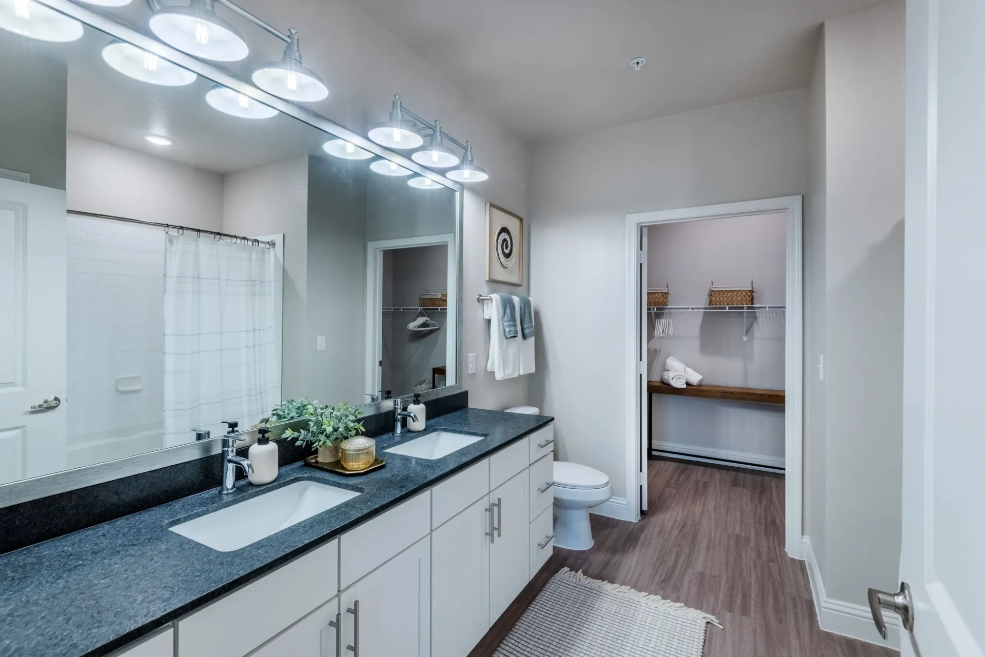 Modern bathroom with double vanity, walk-in closet, and tiled shower.