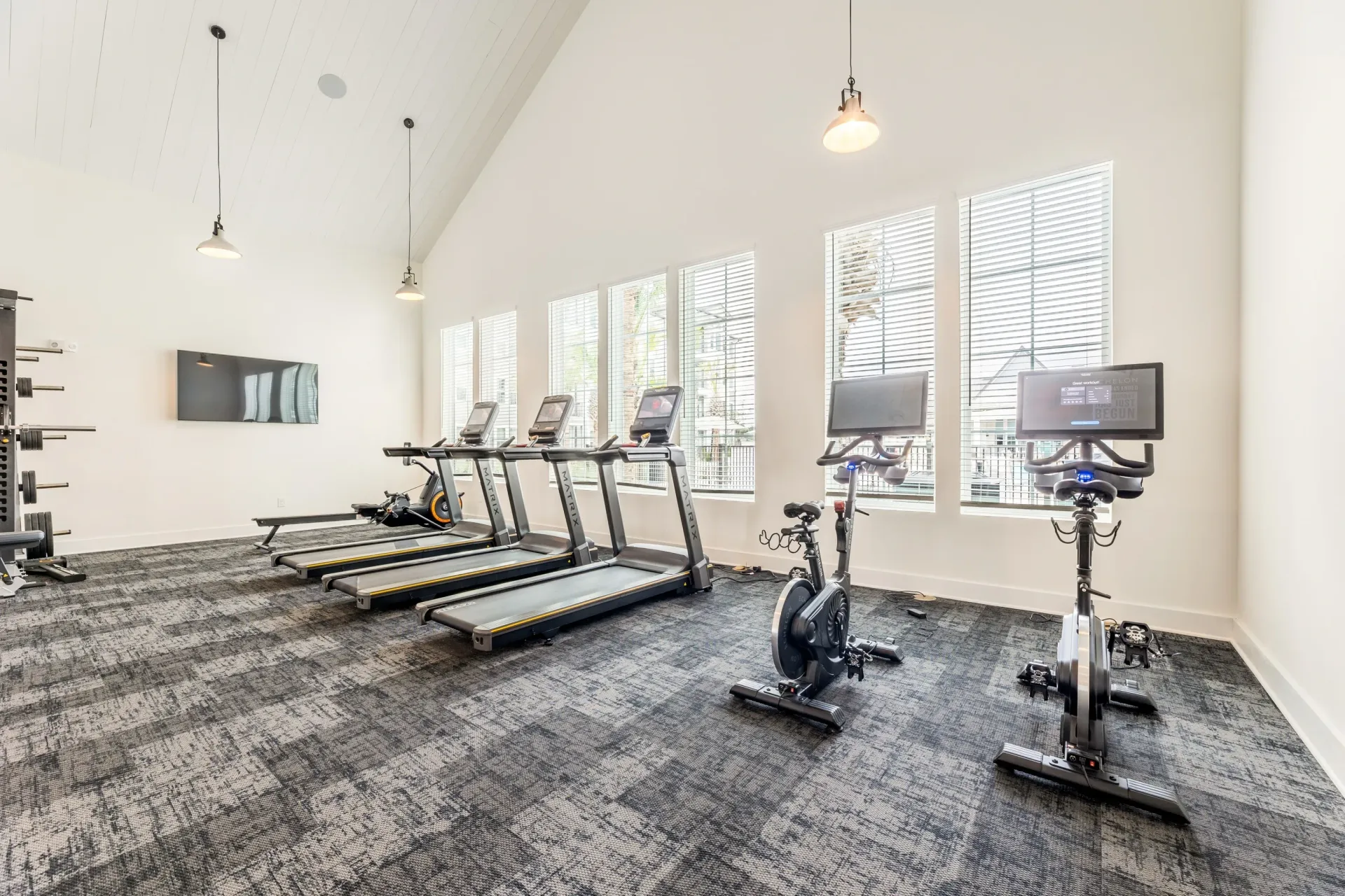 Gym with treadmills, rowing machine, and stationary bikes