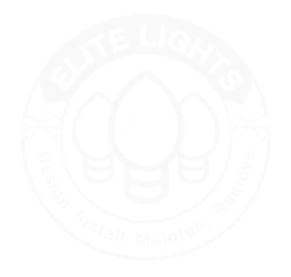 Elite Light Logo