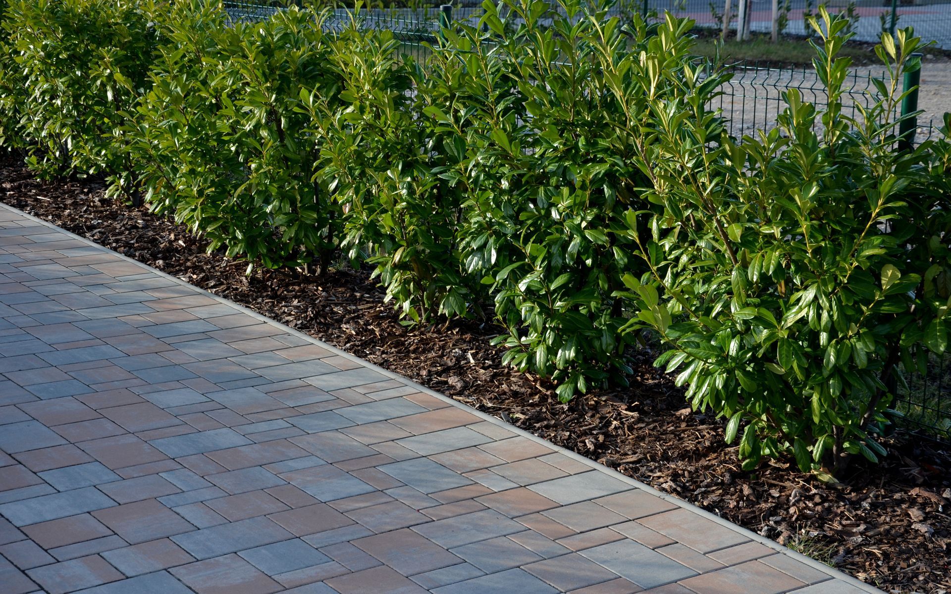 A brick walkway with a hedge in the background
