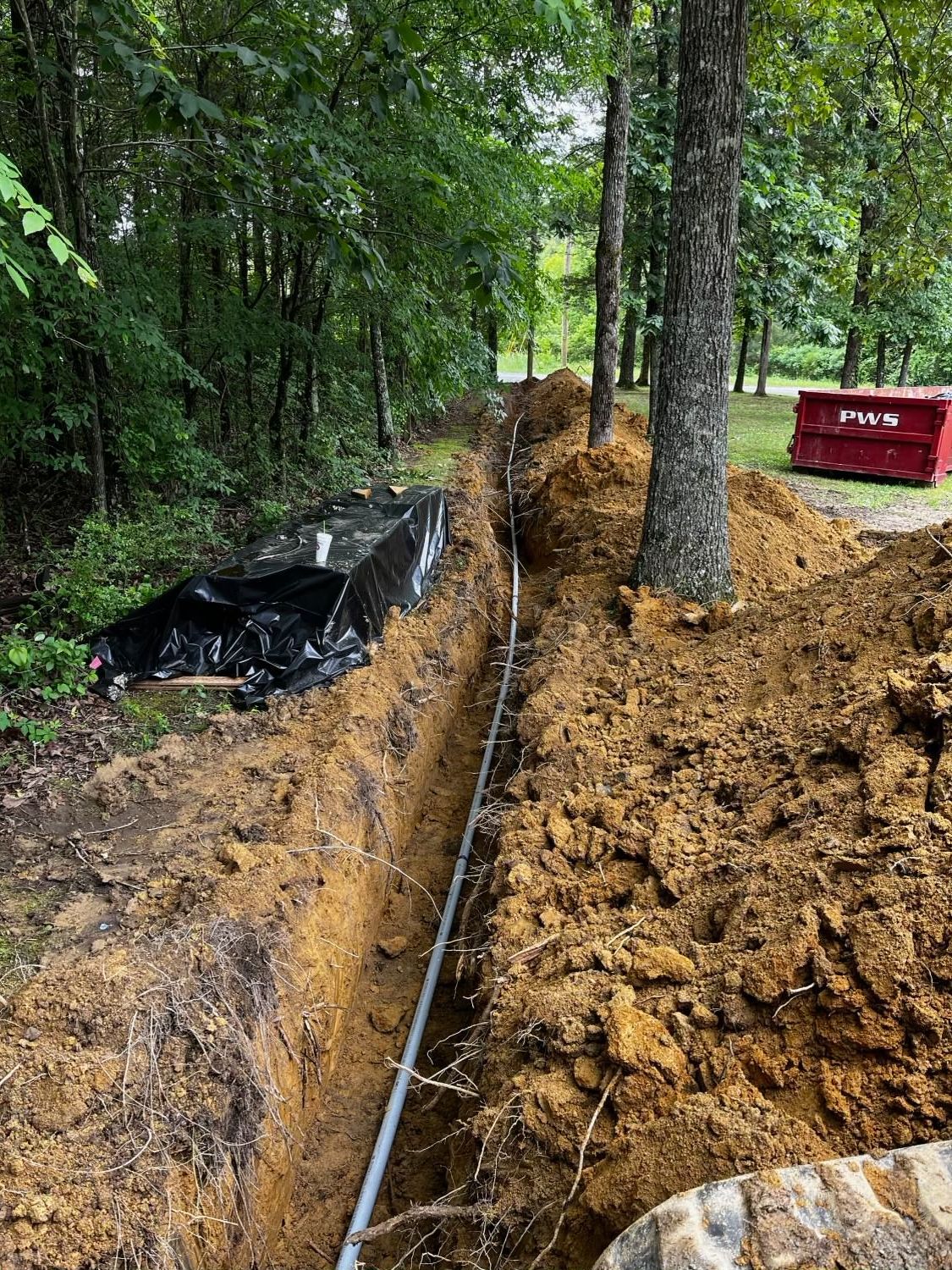 A pipe is being installed in the dirt in the woods.