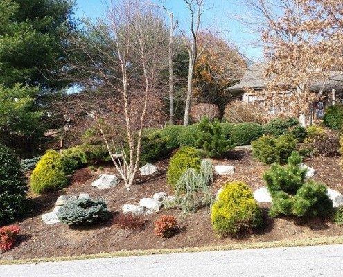 A lush green garden with trees and bushes in front of a house.
