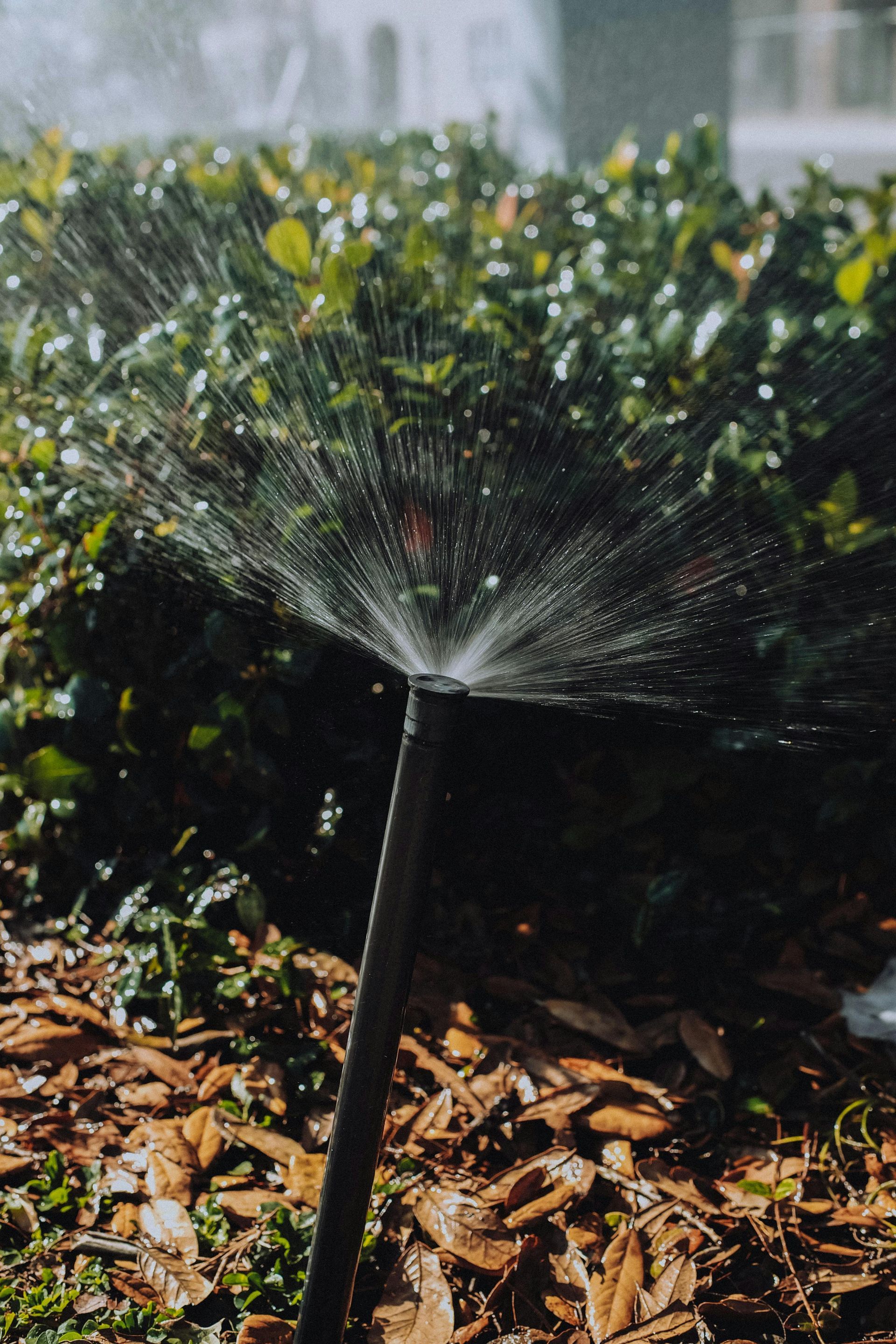 Een close-up van een sproeier die water op een struik sproeit