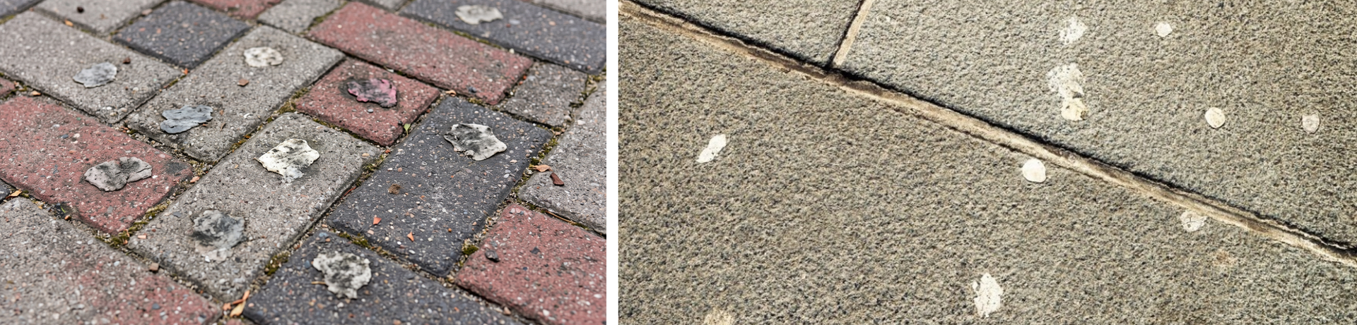 Block paving covered in littered chewing gum
