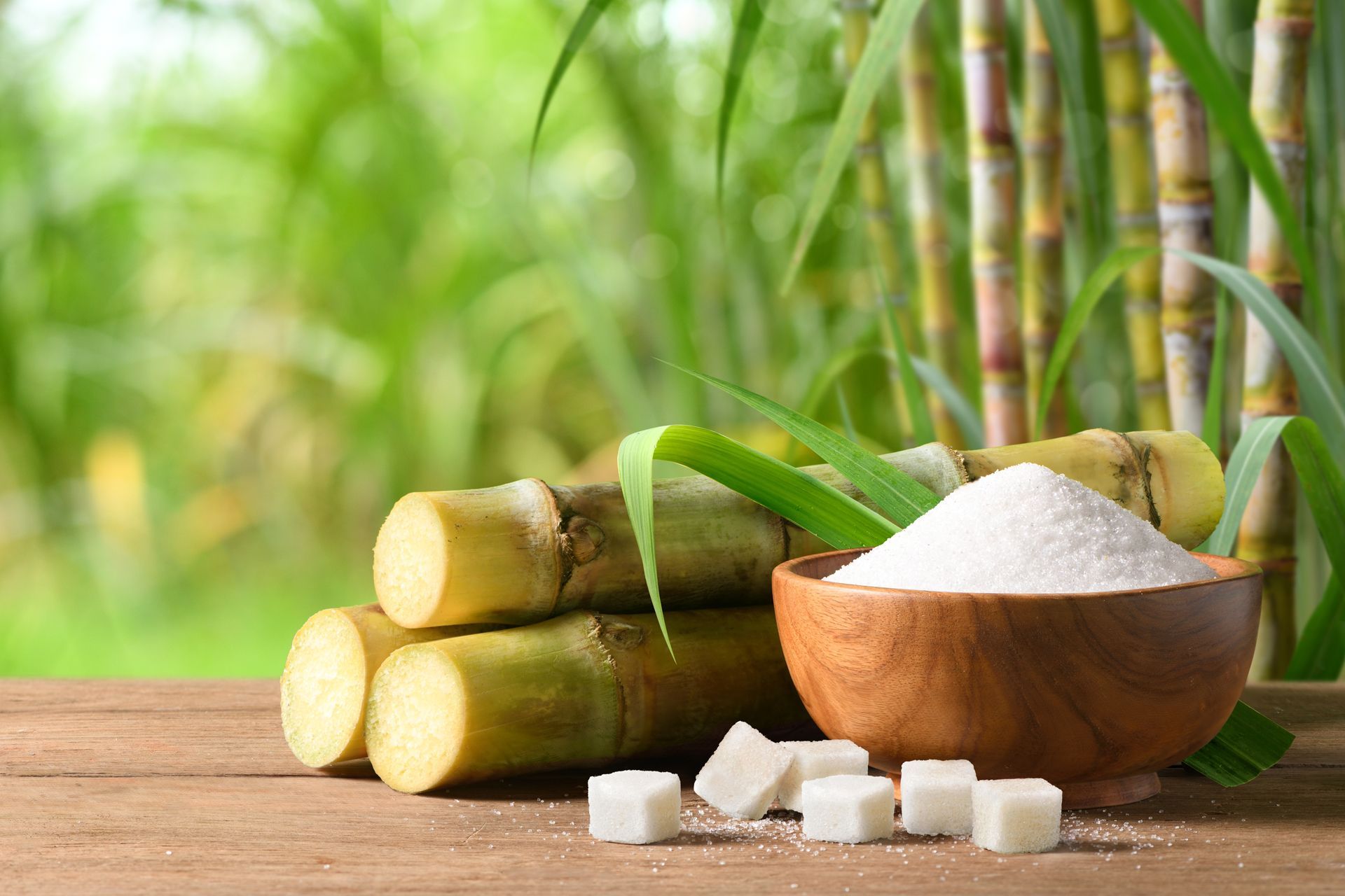 Refined Sugar and Sugar Cane