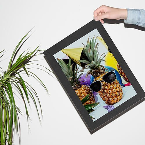 Framing & Mounting