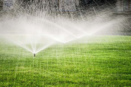 Green Grass Field — Gresham, OR — Classic Irrigation