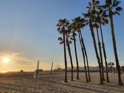 Sunny Venice Beach Boardwalk with tall palm trees silhouetted against a bright blue sky