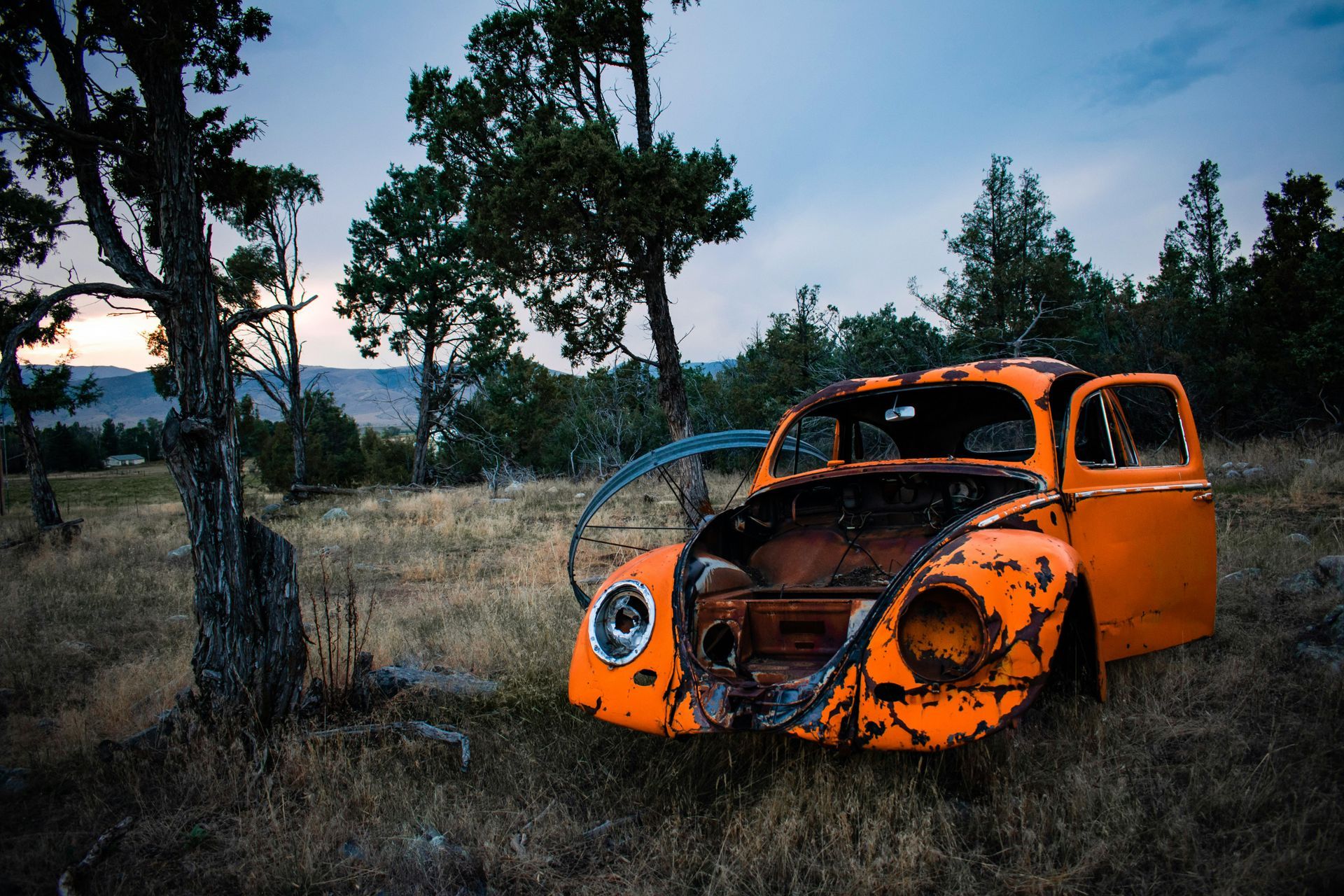 An old rusty orange car is sitting in a field