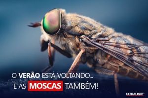 SE PREPARE PARA PRIMAVERA: VOCÊ ESTÁ EM DIA COM O CONTROLE DE PRAGAS URBANAS? 6 BLOG Ultralight 26agosto